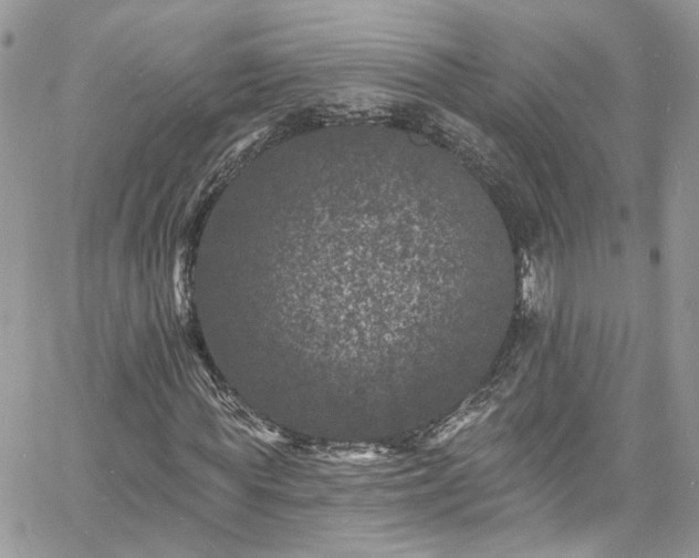 X0000060790819200511171306