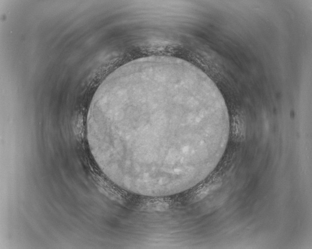 X0000060790820200511171306