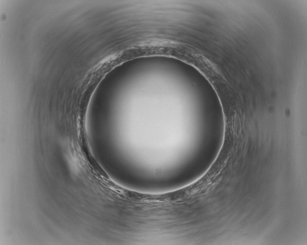 X0000060790821200511171306