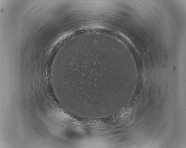 X0000060790823200511171306