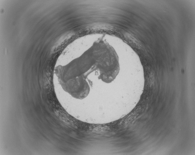 X0000060790824200511171306