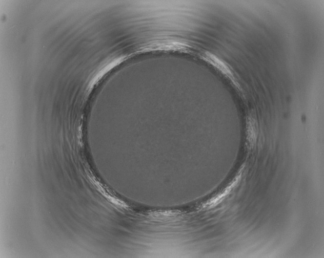 X0000060790826200511171306