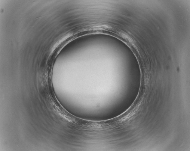 X0000060790827200511171306