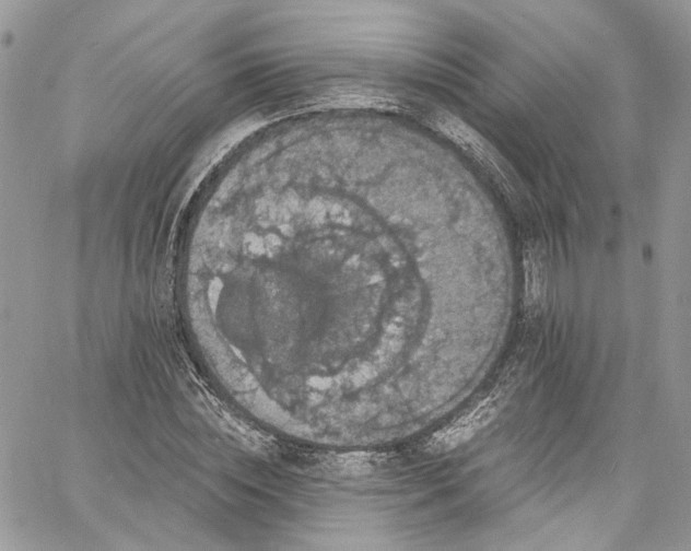 X0000060790828200511171306