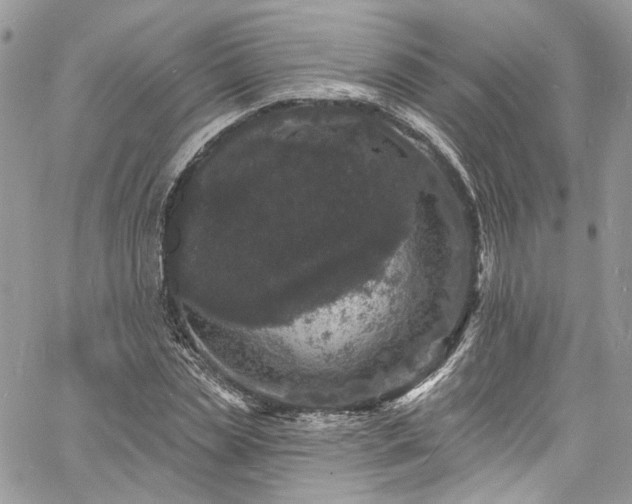 X0000060790829200511171306