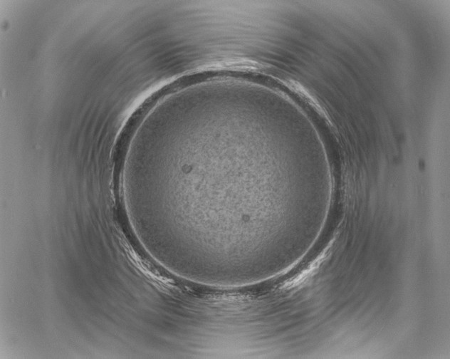 X0000060790830200511171306