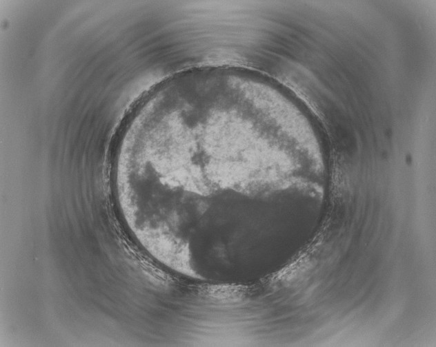 X0000060790832200511171306