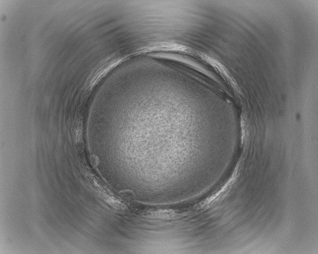 X0000060790833200511171306