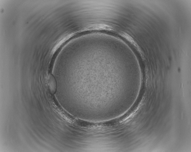 X0000060790834200511171306