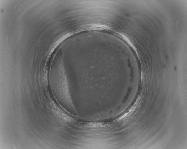 X0000060790835200511171306