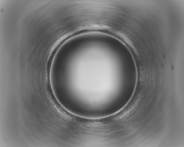 X0000060790837200511171306