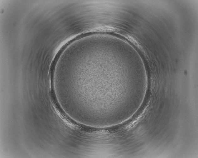 X0000060790838200511171306