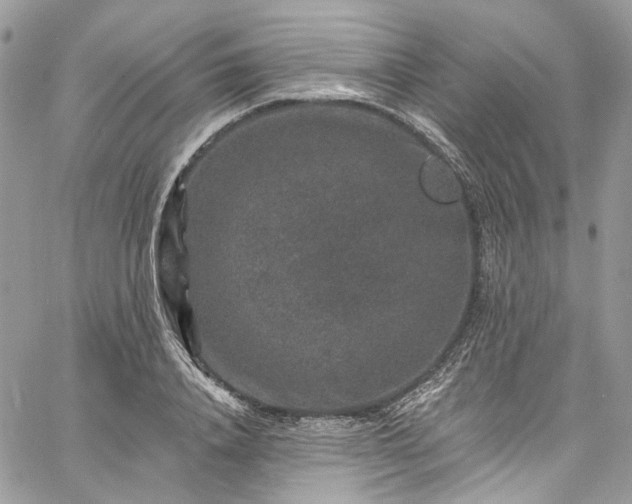 X0000060790840200511171306