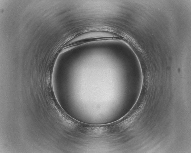 X0000060790841200511171306