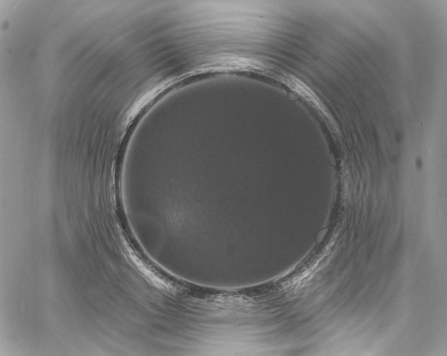 X0000060790842200511171306