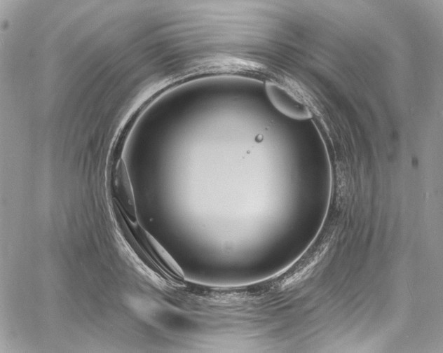 X0000060790843200511171306