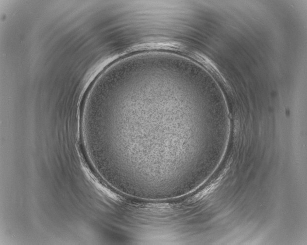 X0000060790844200511171306