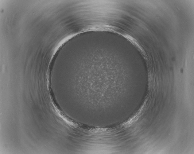 X0000060790846200511171306