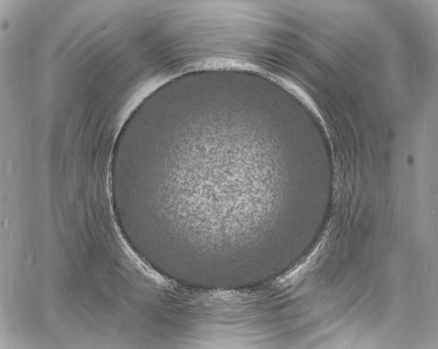 X0000060790847200511171306