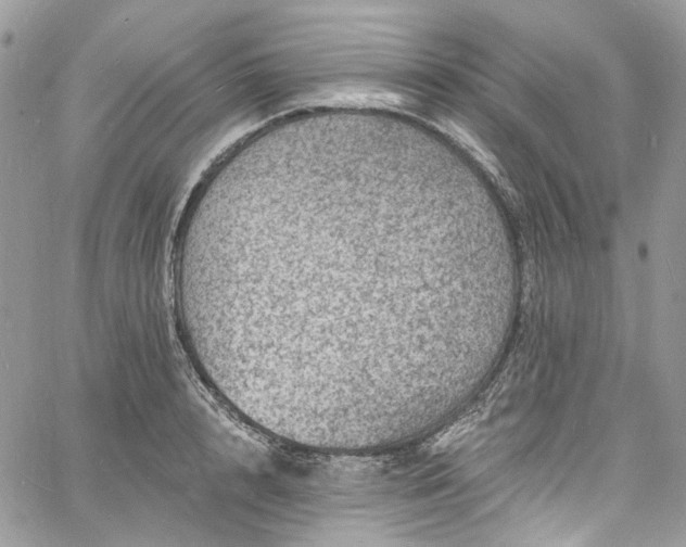 X0000060790848200511171306