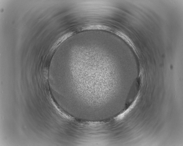 X0000060790849200511171306