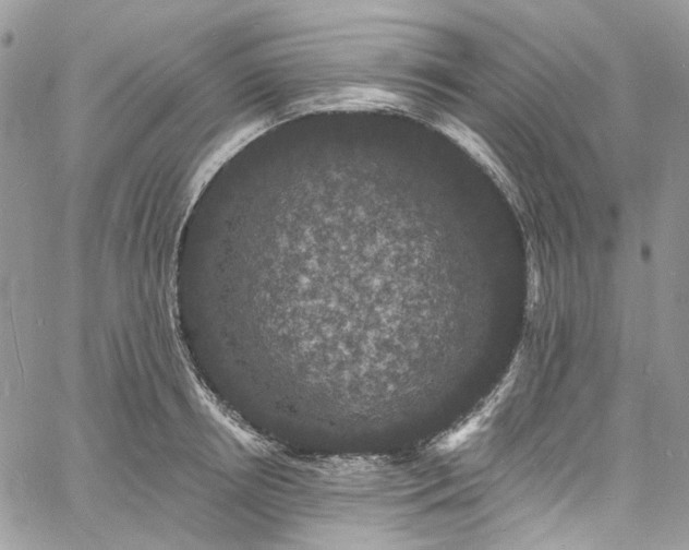 X0000060790850200511171306