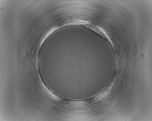 X0000060790851200511171306