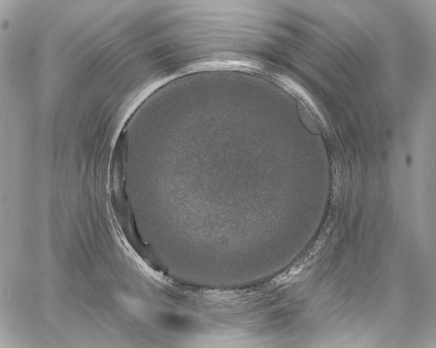 X0000060790852200511171306