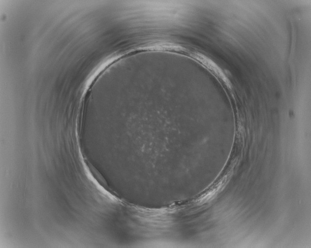 X0000060790855200511171306