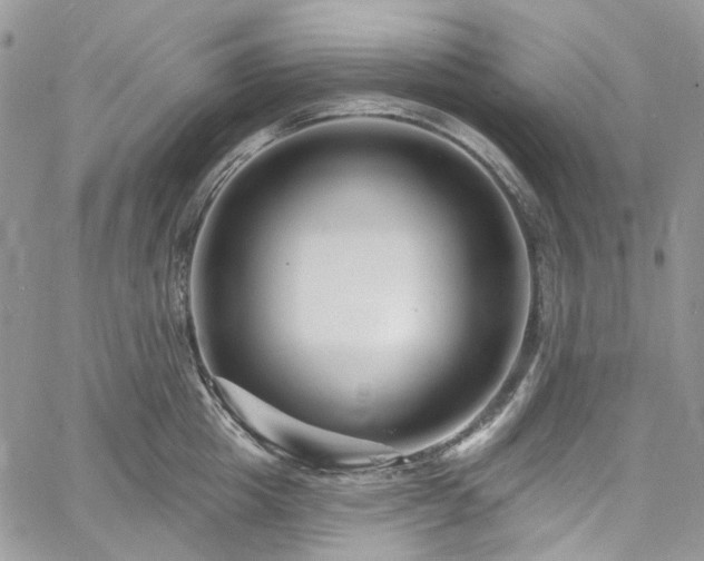 X0000060790857200511171306