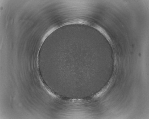 X0000060790858200511171306