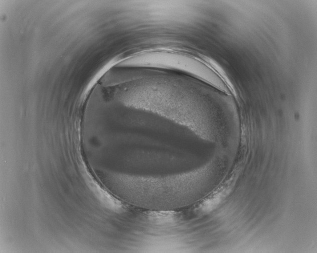 X0000060790859200511171306