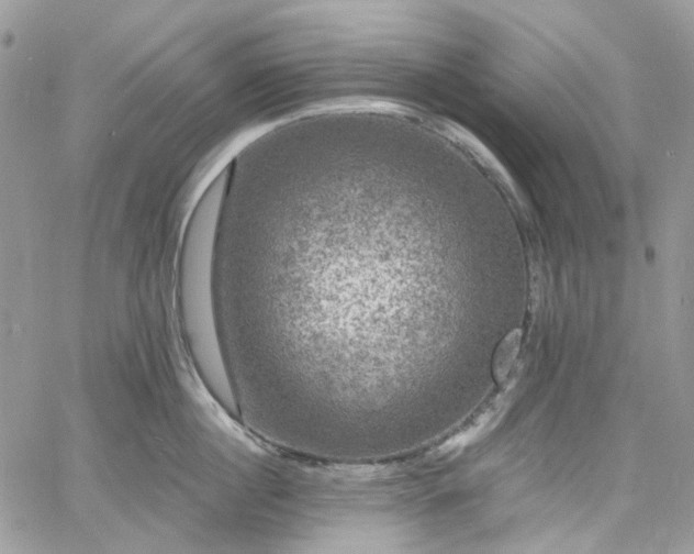 X0000060790860200511171306