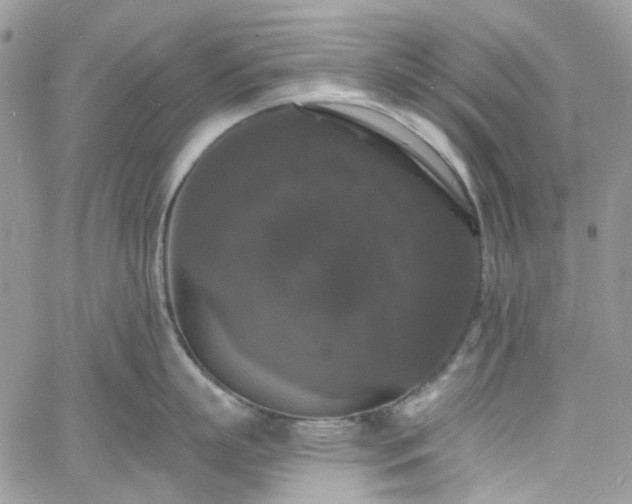 X0000060790863200511171306