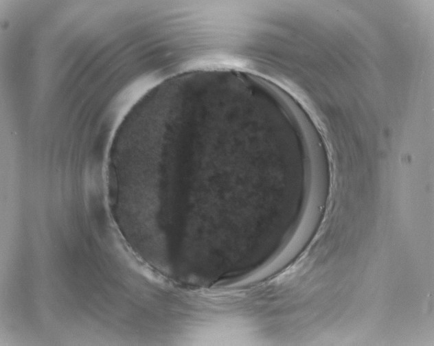 X0000060790864200511171306