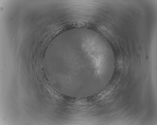 X0000060790865200511171306