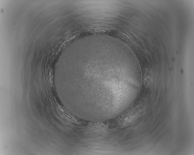 X0000060790866200511171306