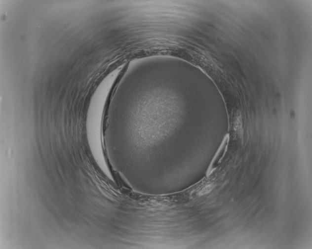 X0000060790868200511171306