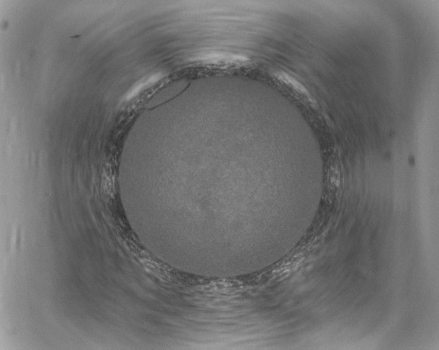 X0000060790869200511171306