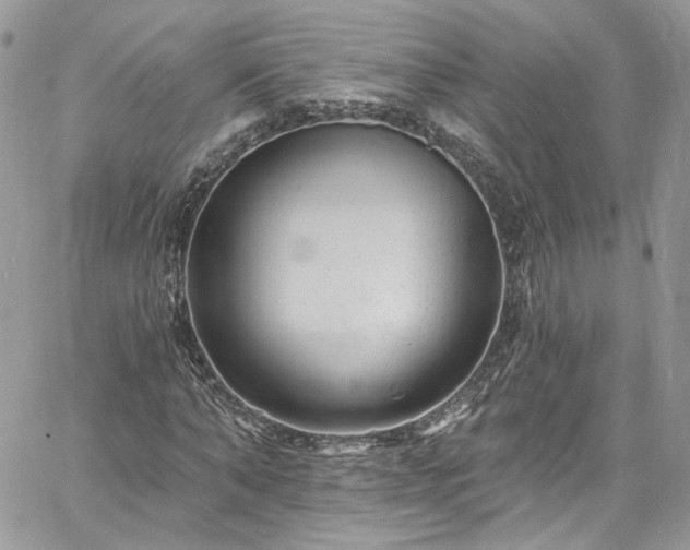 X0000060790870200511171306