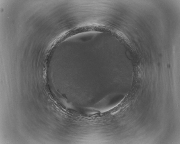 X0000060790872200511171306