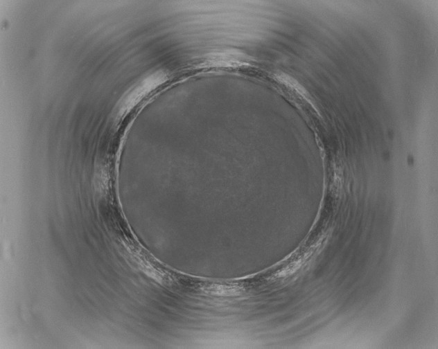 X0000060790874200511171305