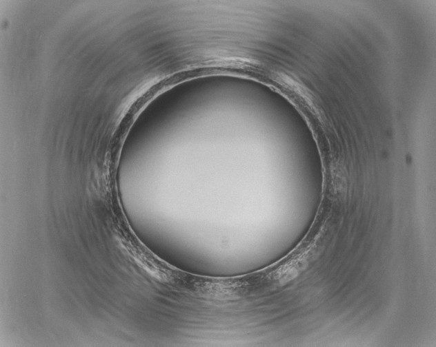 X0000060790875200511171305