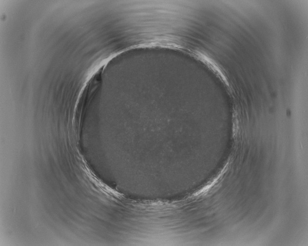 X0000060790876200511171305