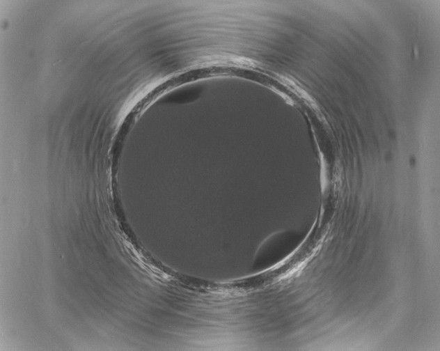 X0000060790877200511171305