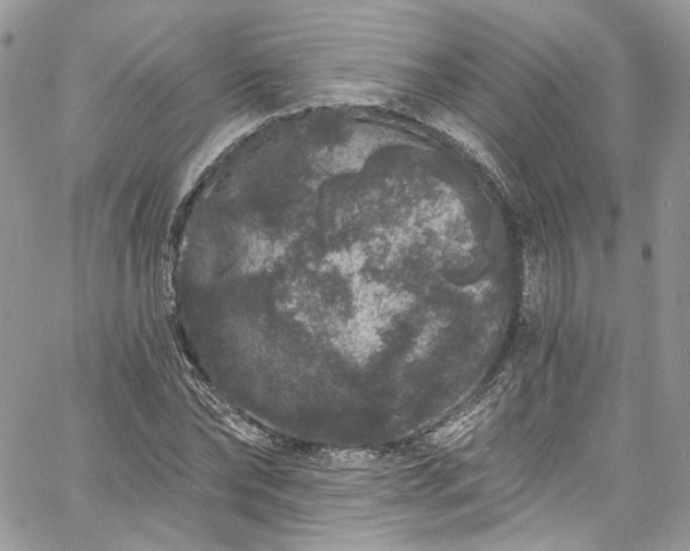 X0000060790878200511171305