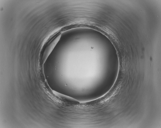 X0000060790880200511171305