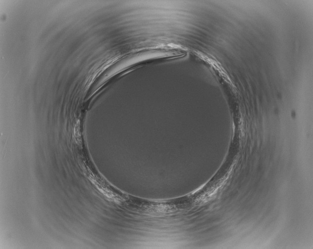 X0000060790881200511171305