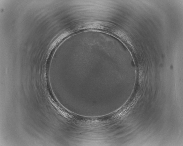 X0000060790882200511171305