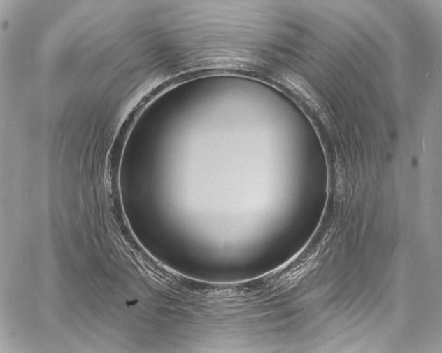 X0000060790883200511171305